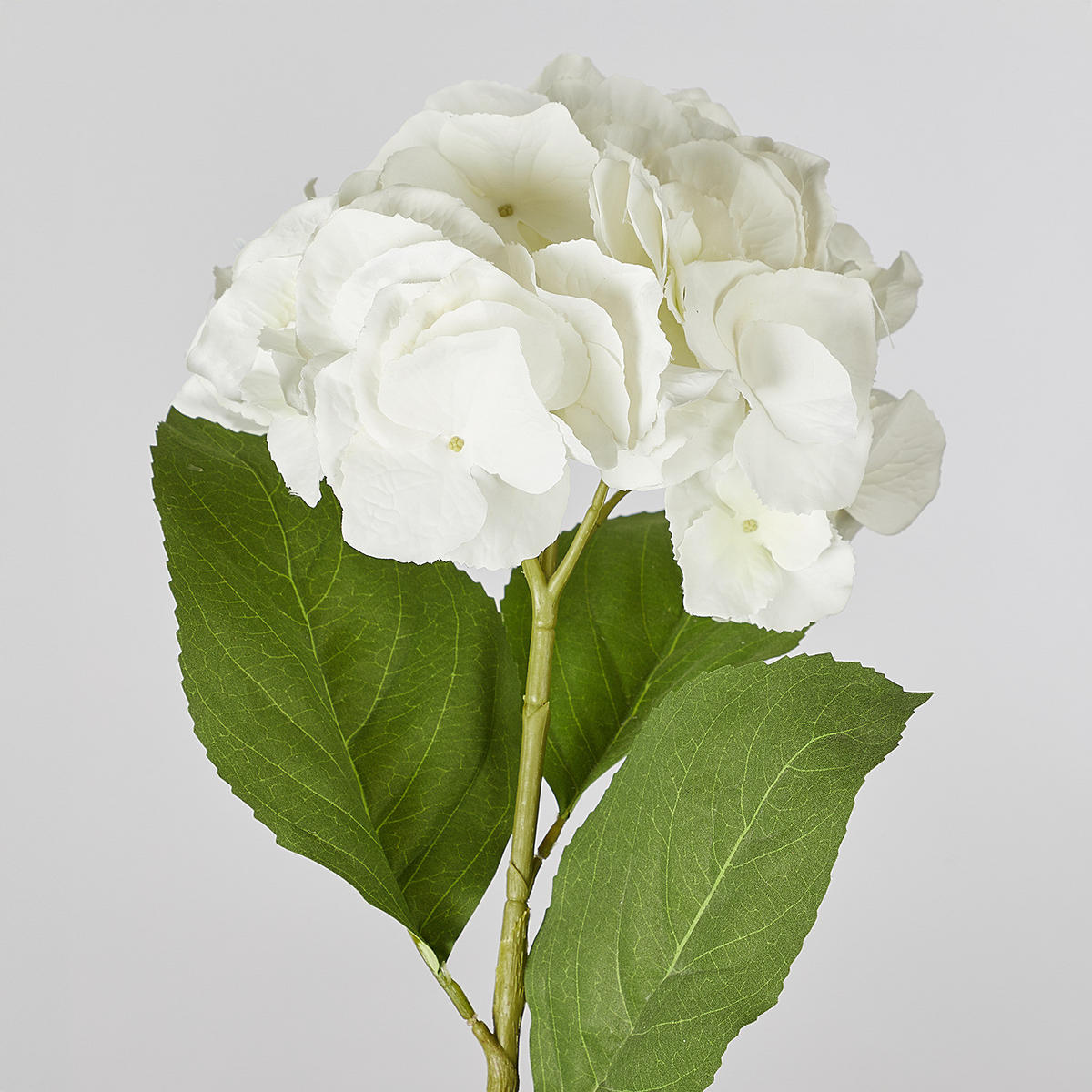 KUNSTBLUME (6er Set) Florista - Weiß, Kunststoff (62cm) - BUTLERS