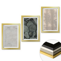WANDBILDER 3er Set - 20x30 cm Goldrahmen - Sommerliche tropische Texturen - Goldfarben, Kunststoff (20/30cm) - ArtPrintCave