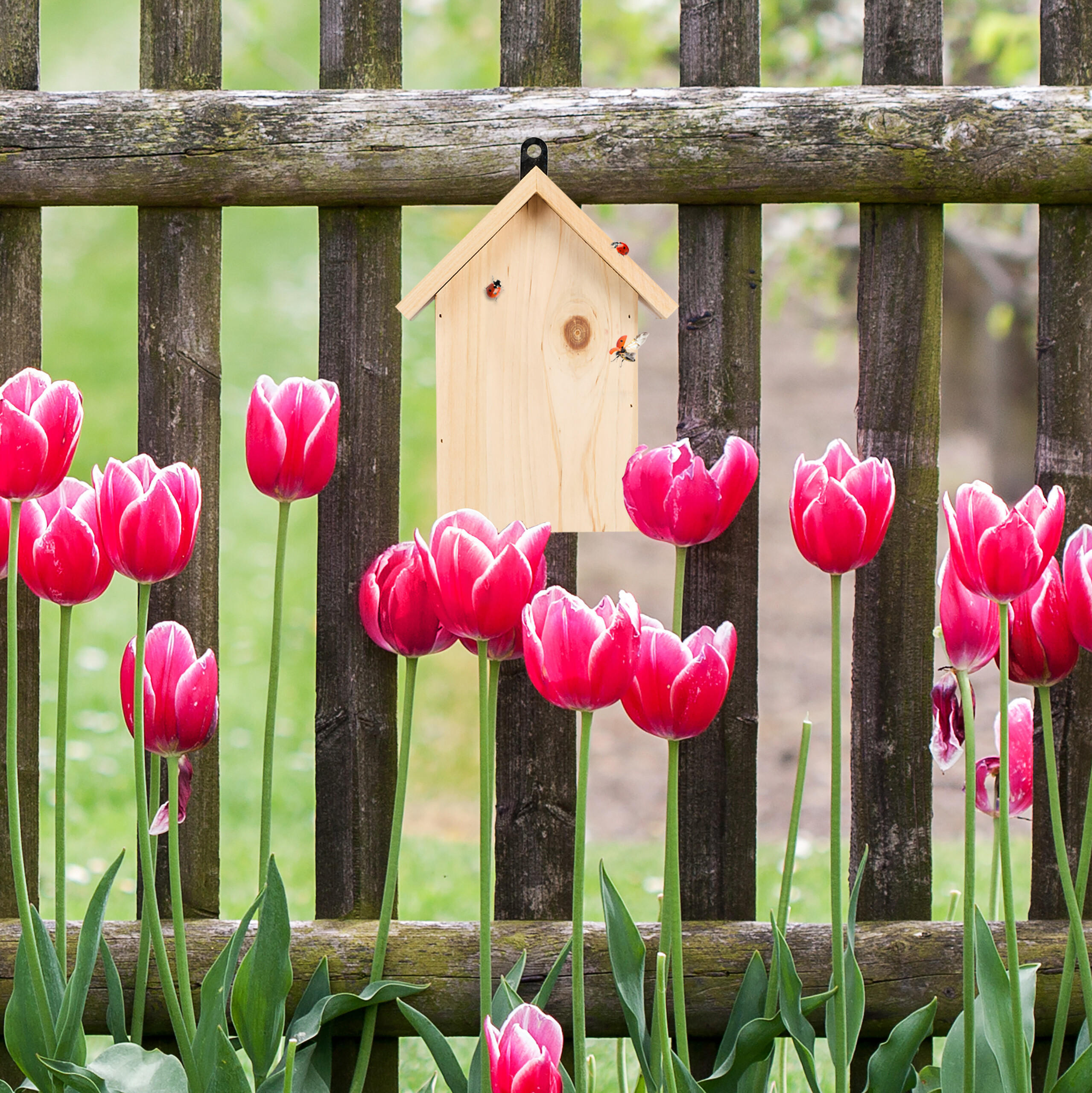 MARIENKÄFERHAUS - Hellbraun, Holz (17/22.5/10cm) - Relaxdays