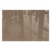 GLASPLATTE für Kamin 60x40 cm - Braun, Glas (60/40/0.4cm) - TULUP