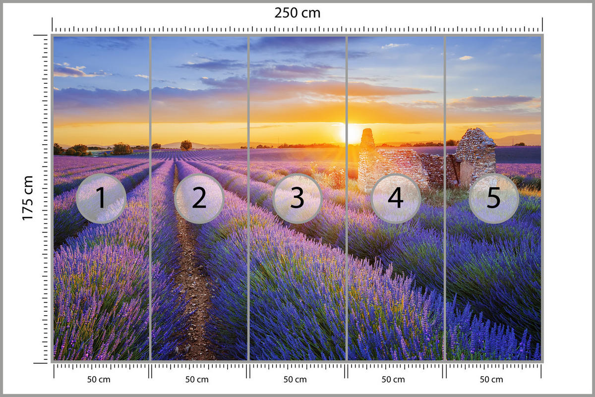 FOTOTAPETA Pre Obývaciu Izbu Levanduľové Pole Západ Slnka Fialová 250 x 175 cm - oranžová/zelená, papier (250/175cm) - Muralo