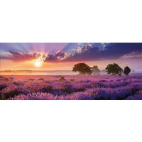 GLASBILD 125x50 cm Landschaft lila - Gelb, Glas (125/50cm) - artissimo