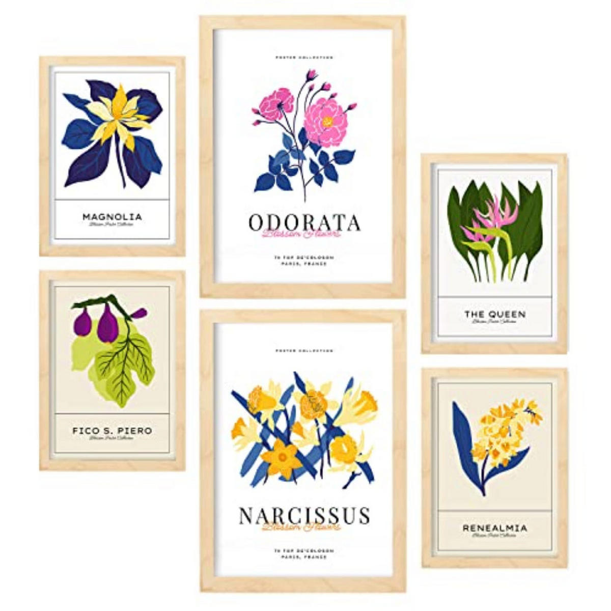 POSTER Set Mit 6 Blumen Narzissen Natur Und Botanikdrucke Für Innenarchitektur A3 & A4 Rahmen Aus Hellem Holz - Beige, Papier (29/3cm) - Nacnic