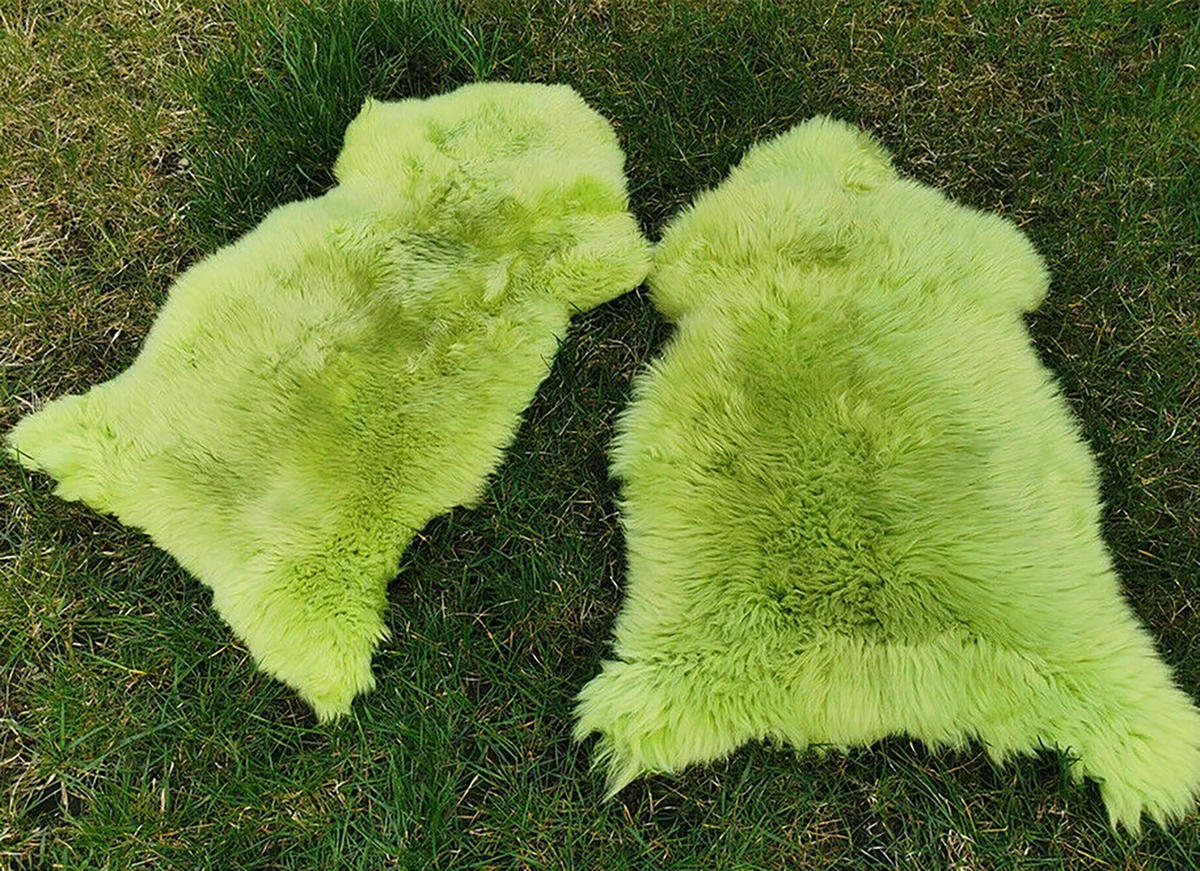 LAMMFELL Öko bunt gefärbt weich Fell Teppich Grünapfel ca. 90 cm - Grün, Fell (50/90cm) - Provellus