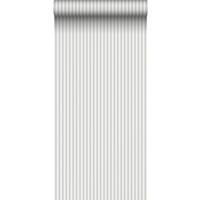 TAPETE Streifen 53 cm x 10.05 m - Grau, Papier (53/1000cm) - Sanders & Sanders