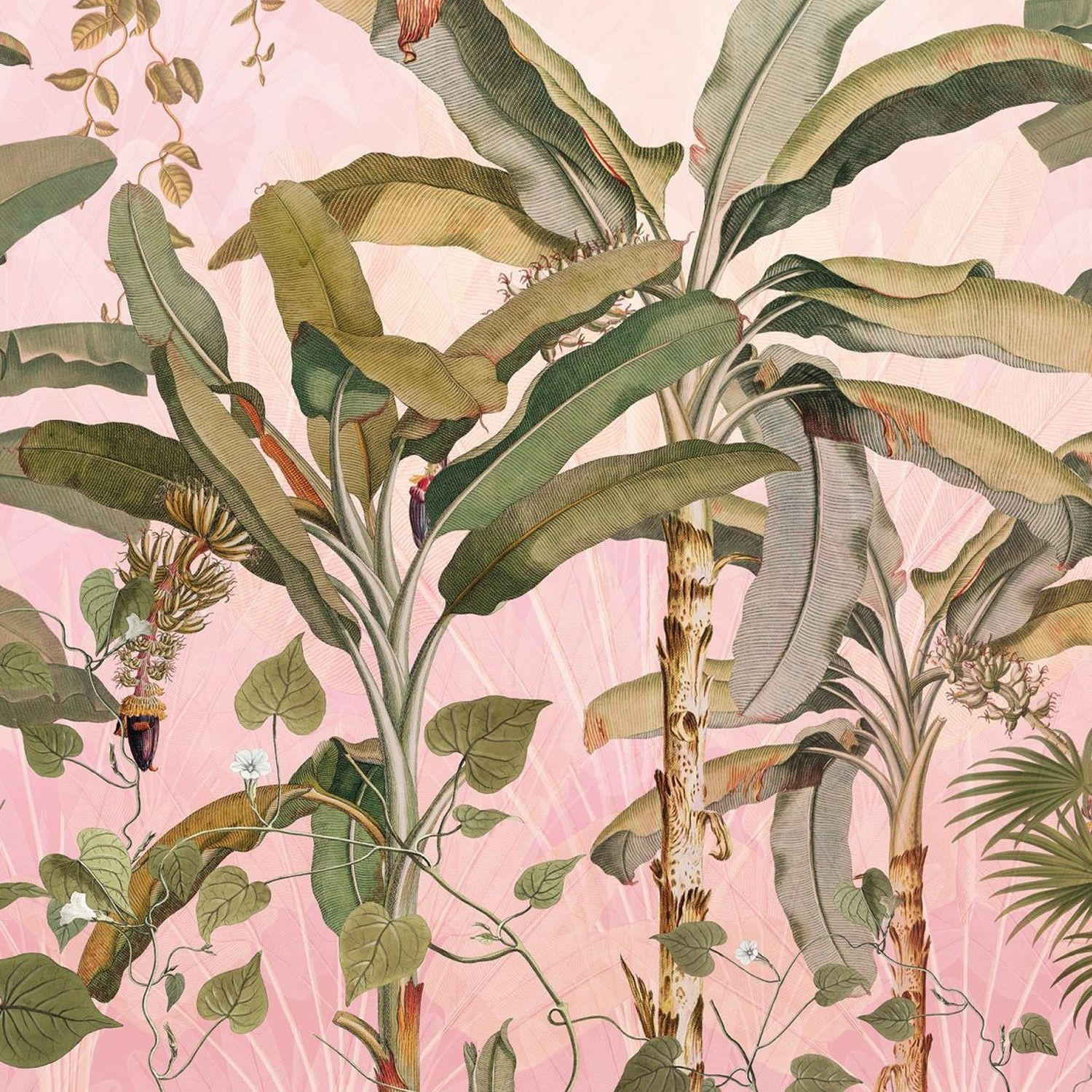 FOTOTAPETE Palmblätter 350 x 270 cm - Pink, Papier (350/270cm) - Sanders & Sanders