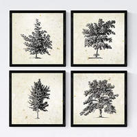 POSTER Set mit 4 Blättern der Bäume ohne Blüten Jahrgang Hintergrund 20x20cm Rahmenlos - Klar, Papier (20/3cm) - Nacnic