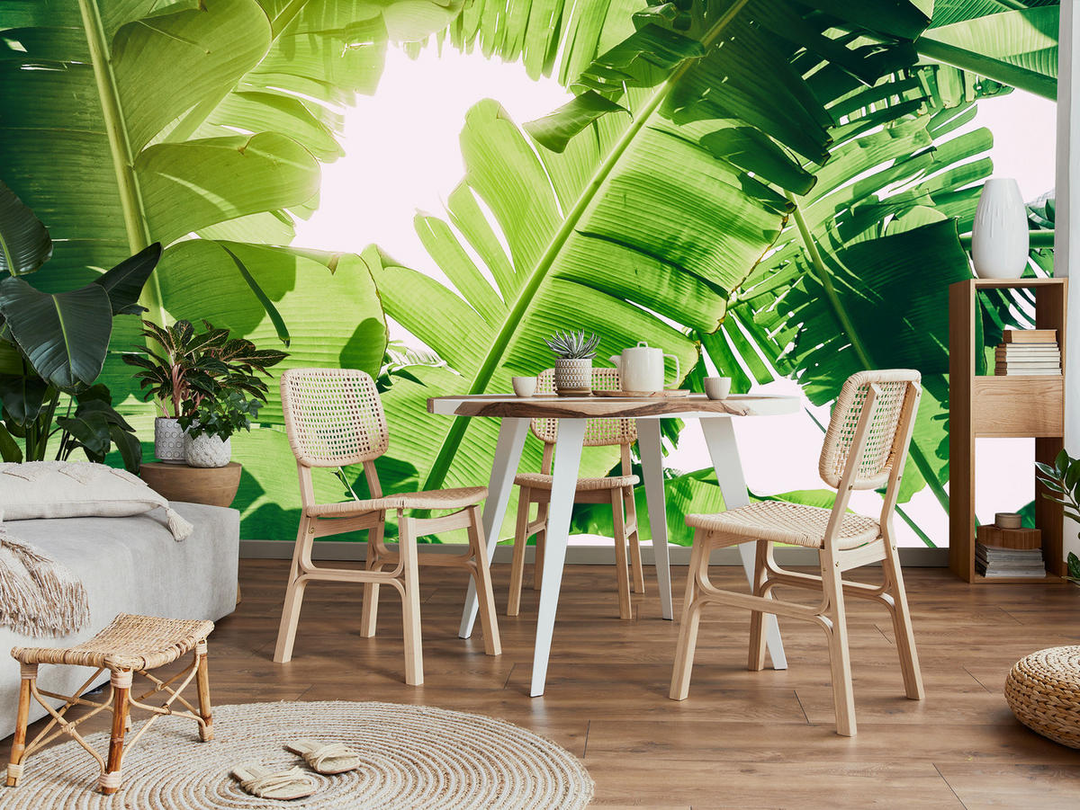 FOTOTAPETA Pre Obývaciu Izbu Banánovník Zelené Listy Tropická 450 x 315 cm - biela/zelená, papier (450/315cm) - Muralo