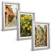 BILDER SET 3er Set - 20x30 cm Silberner Rahmen - Straßen mit Zitronenblüten im Hintergrund - Silberfarben, Kunststoff (20/30cm) - TULUP