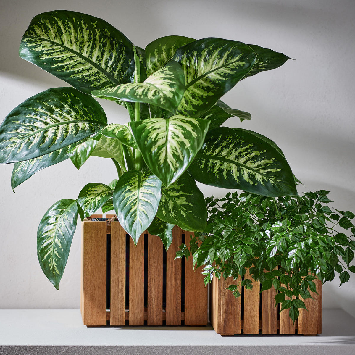 PFLANZTOPF-SET (3-teilig) New Gardening - Braun, Holz (35/30/35cm) - Butlers