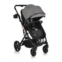 KINDERWAGEN Rafaello 2 in 1 grau mbaubar, Sportsitz, Fußabdeckung, Tasche - Grau, Metall (96/59/109cm) - Moni