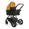 KOMBIKINDERWAGEN Boston 2 in 1 Sportsitz Babywanne Mückennetz bis 22 kg - Gelb, Metall (106/60/118cm) - Lorelli
