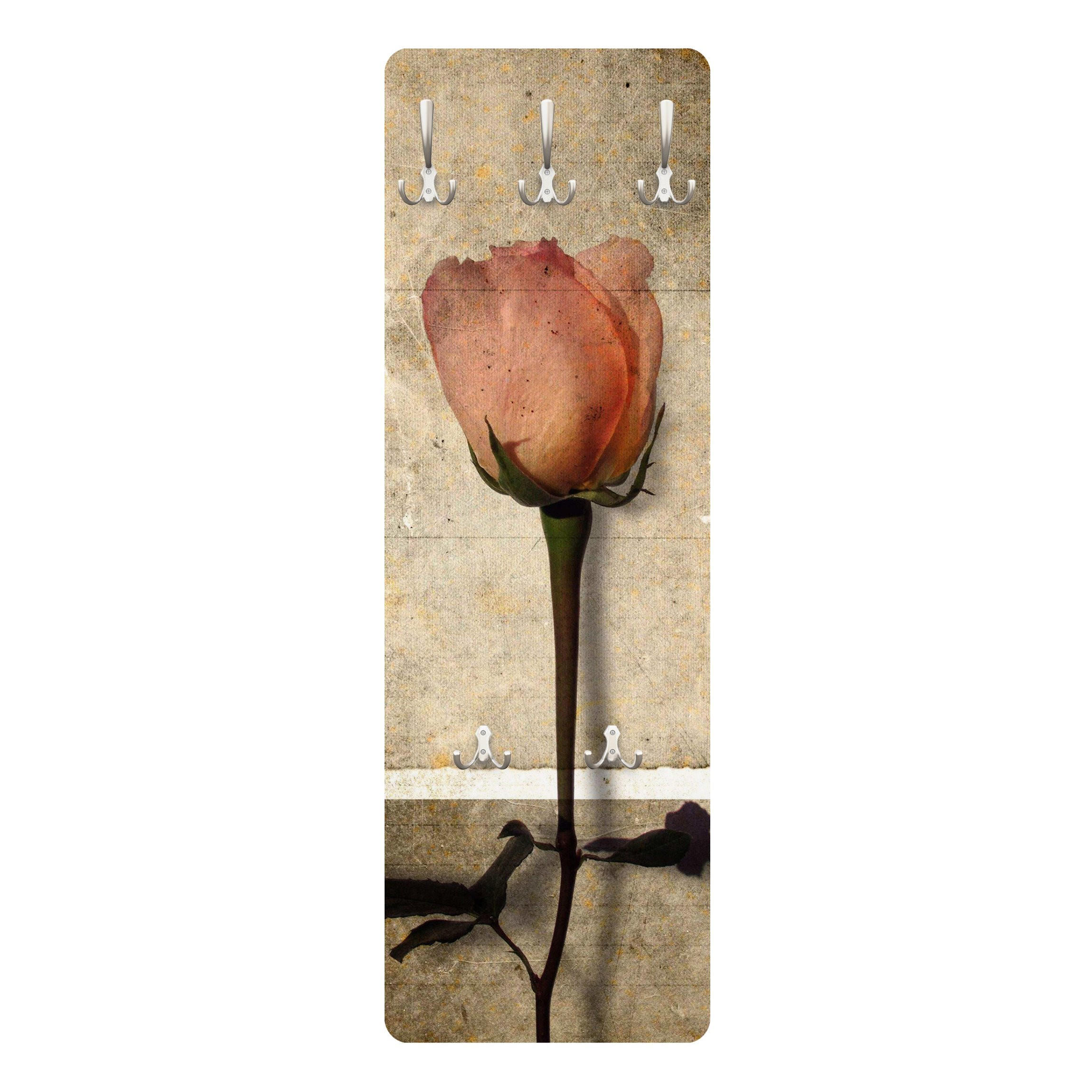 WANDGARDEROBE - Inner Rose Braun 34/105 cm - Rosa, Holzwerkstoff (34/105/1.6cm) - Bilderwelten