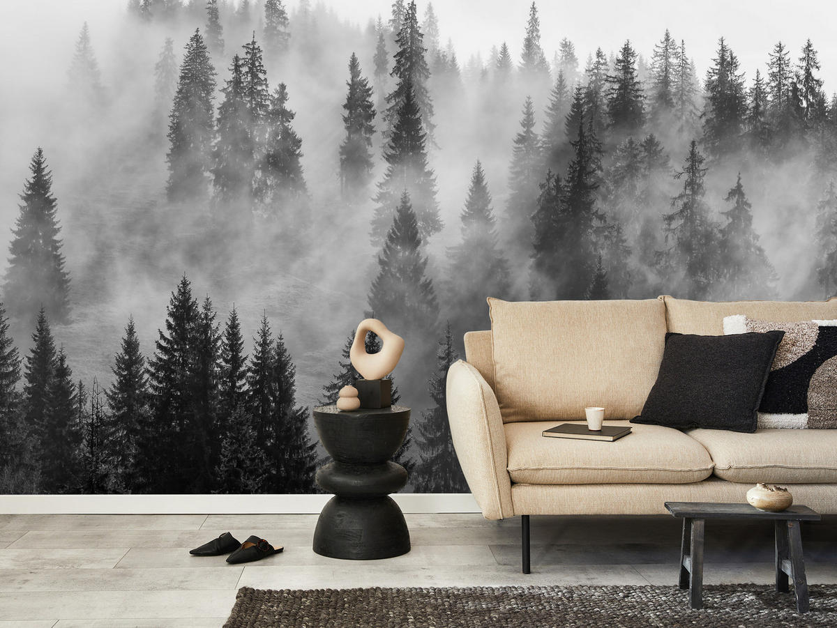 FOTOTAPETA Čierno-biely Les V Hmle Príroda 250 x 175 cm - čierna/sivá, papier (250/175cm) - Muralo
