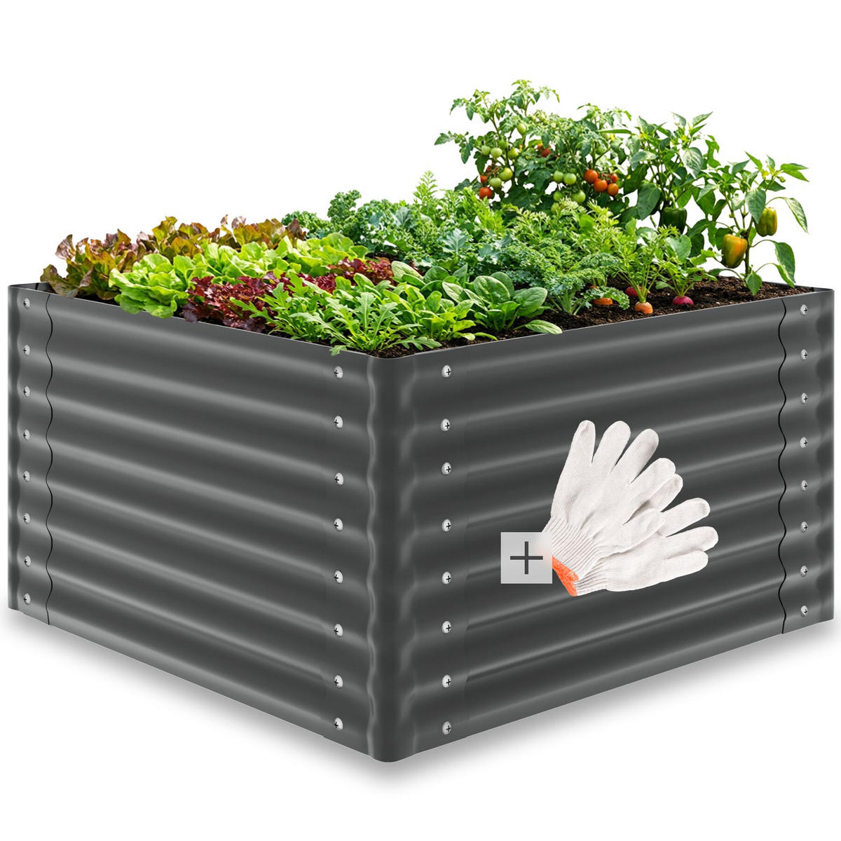 HOCHBEET Blomma, mit offenem Boden und abgerundeten Kanten, anthrazit - Anthrazit, Metall (100/62/100cm) - tectake
