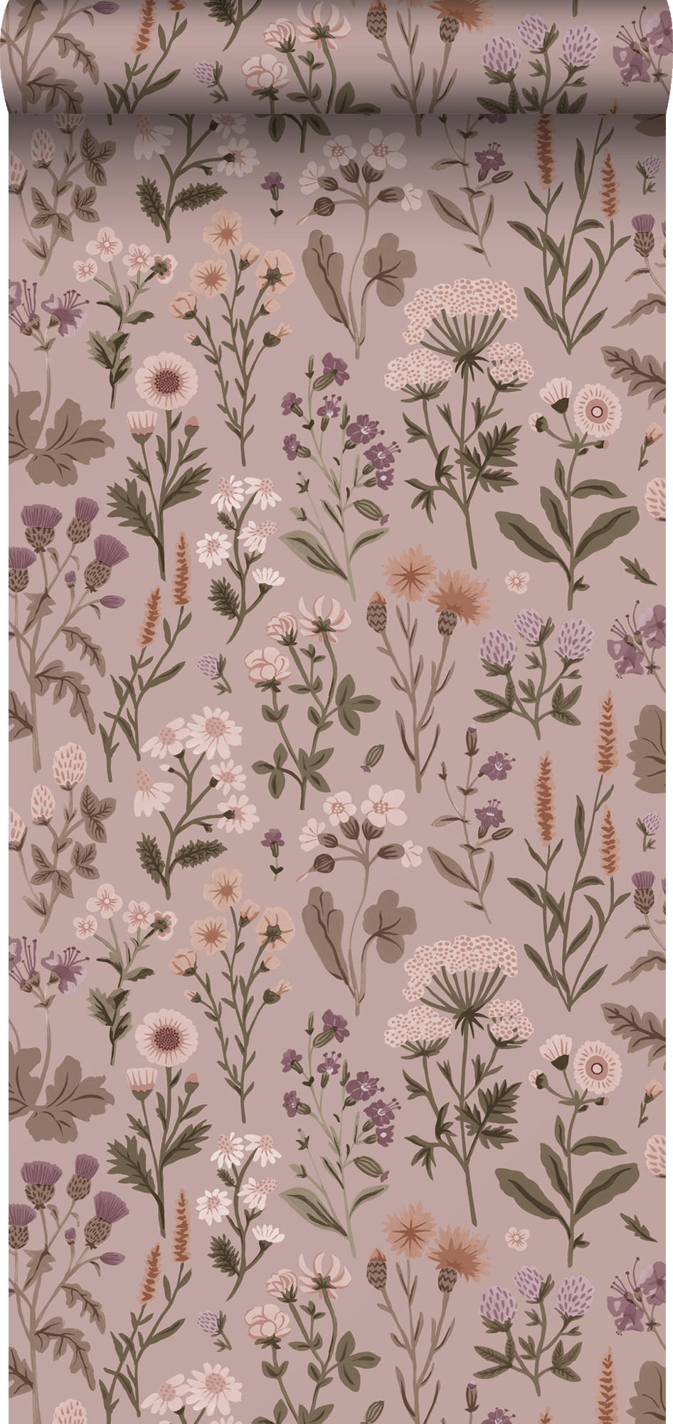 TAPETE Feldblumen 50 x 900 cm - Pink, Papier (50/900cm) - Sanders & Sanders