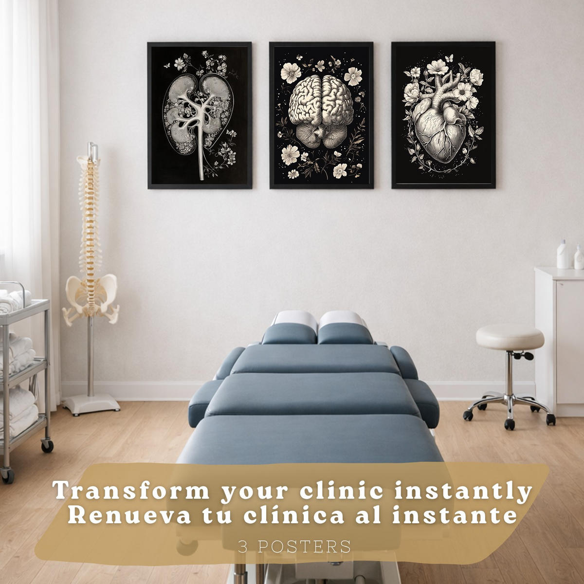 POSTER Set aus 3 Anatomie Mensch Drucke und Wandbilder mit Niere Harnsystem Gehirn und Herz Klassisches Schwarz Weiß Design Größe Schwarzer Rahmen A4 - Schwarz, Papier (21/29.7/3cm) - Nacnic