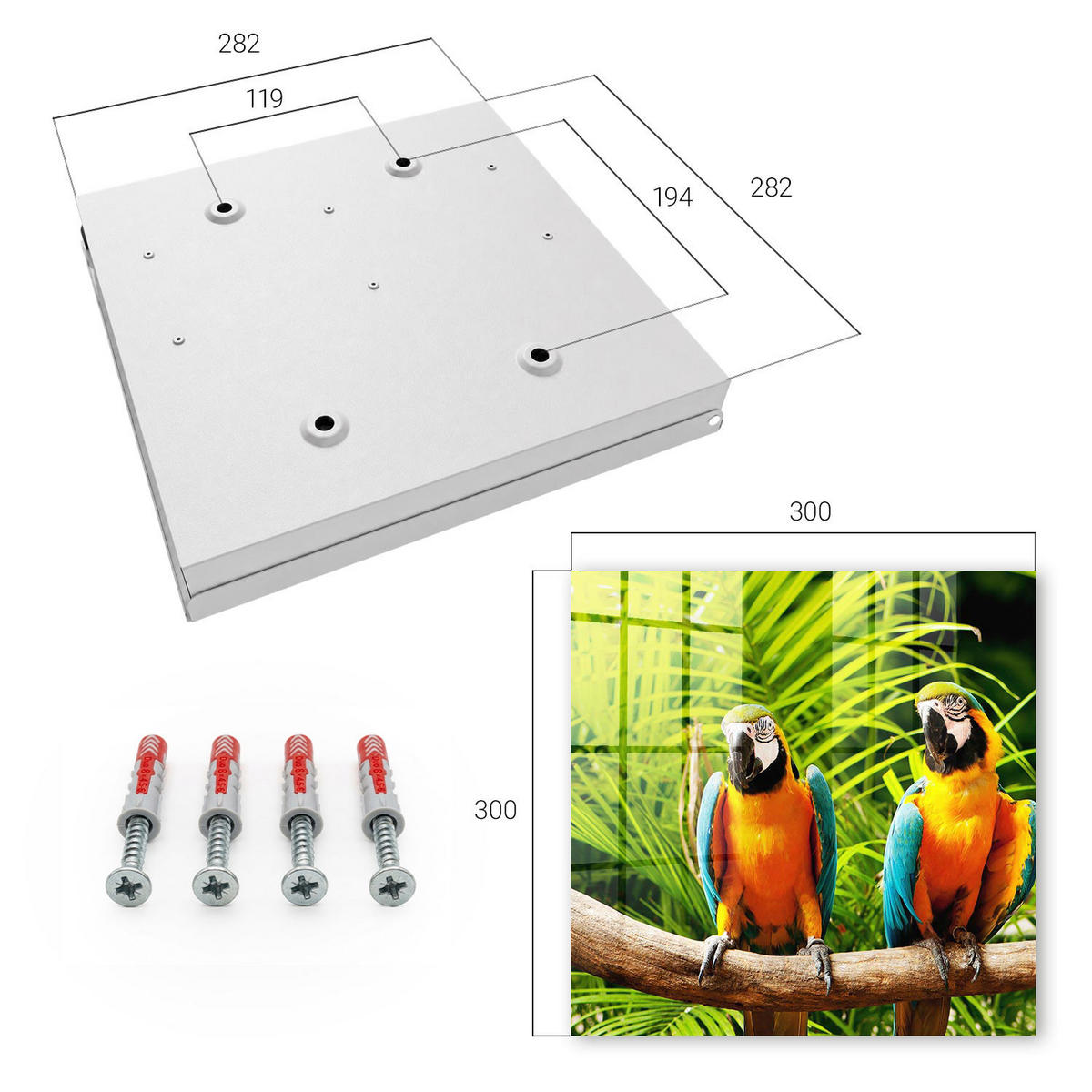 SCHLÜSSELBOX Weiß 30x30 cm – Türöffnung nach rechts - Tropische Vögel - Grün, Metall (30/30/5cm) - TULUP