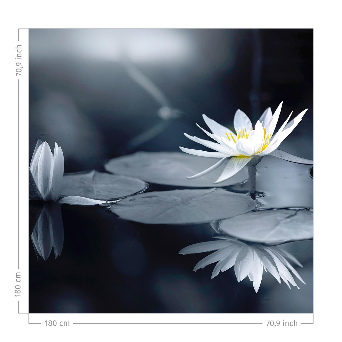 DUSCHVORHANG Lotus Spiegelung im Wasser 180/180 cm - Blau, Textil (180/180cm) - Bilderwelten