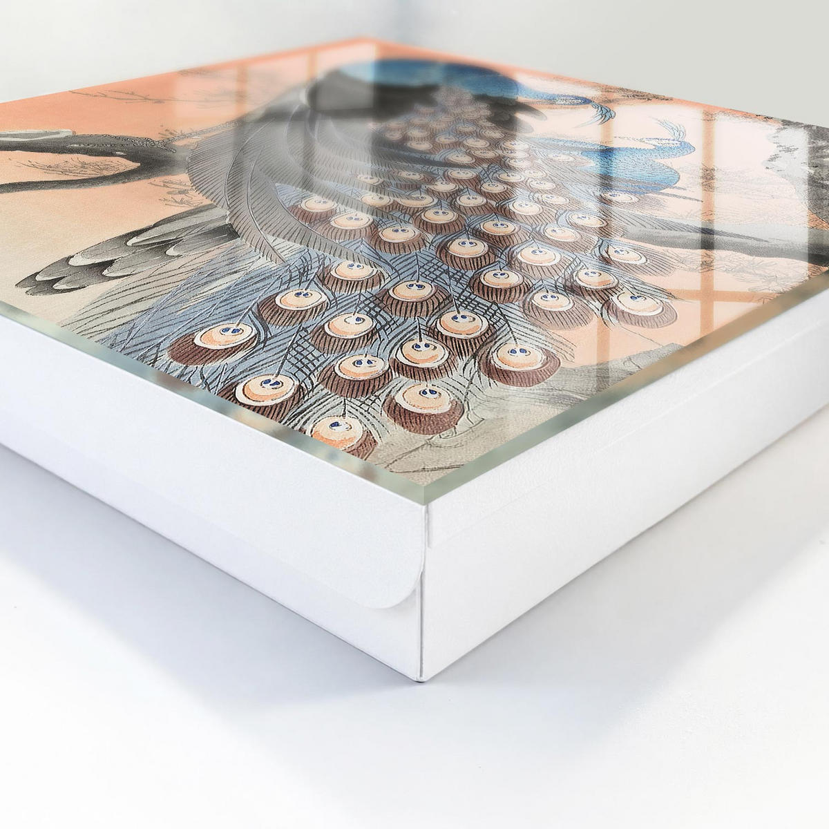 SCHLÜSSELBOX Weiß 30x30 cm – Türöffnung nach rechts - Pfauenschönheit - Blau, Metall (30/30/5cm) - TULUP