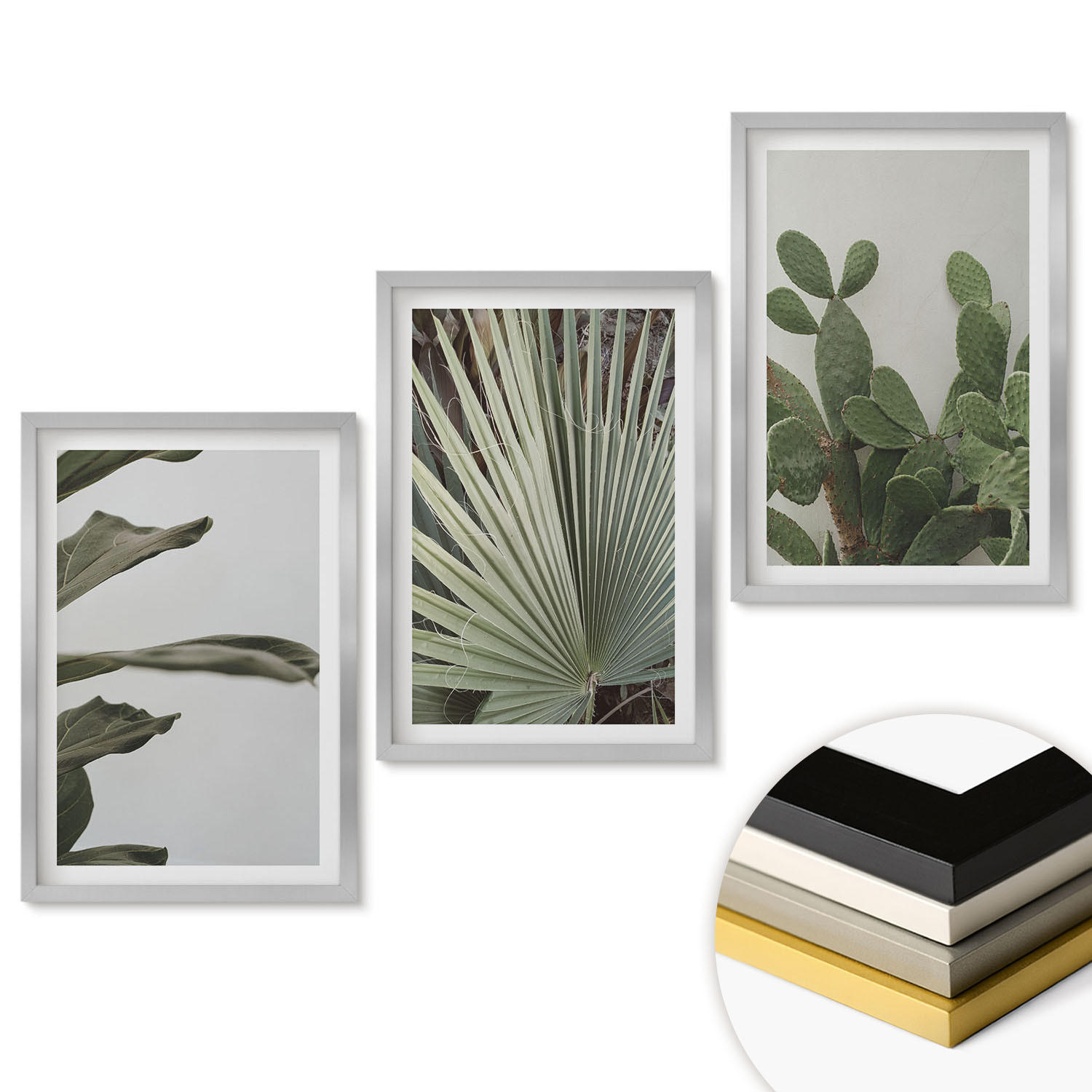WANDBILDER 3er Set - 40x60 cm Silberner Rahmen - Blätter tropischer Pflanzen in Pastellfarben - Silberfarben, Kunststoff (40/60cm) - ArtPrintCave
