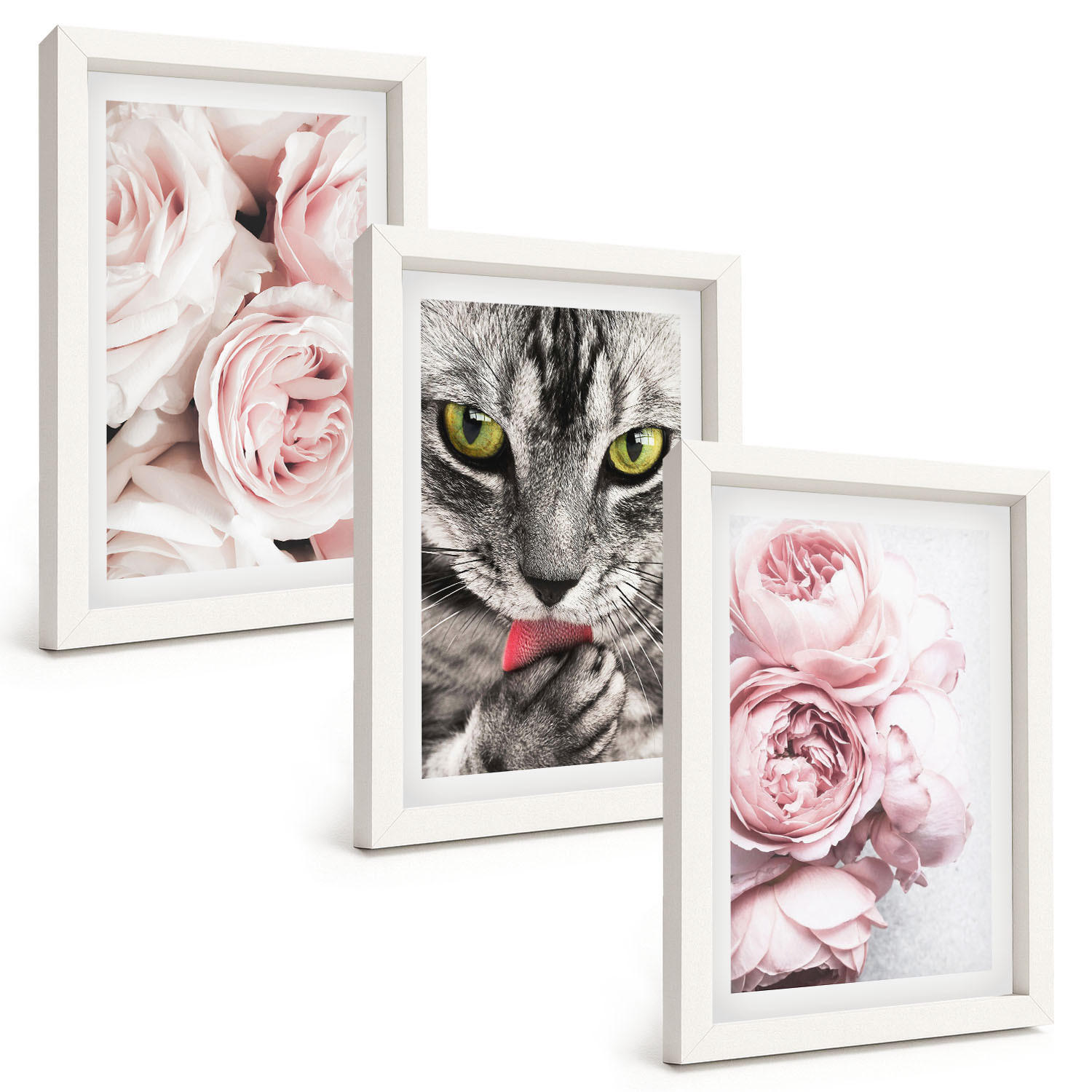 BILDER SET 3er Set - 20x30 cm Weißer Rahmen - Katze in rosa Blumen - Weiß, Kunststoff (20/30cm) - TULUP