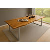 ESSTISCH MAX - Beige/Silberfarben, Holz/Metall (100/300/77cm) - SAM