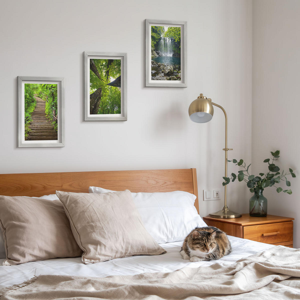 WANDBILDER 3er Set - 20x30 cm Silberner Rahmen - Pfad Wald Wasserfall Vegetation - Silberfarben, Kunststoff (20/30cm) - ArtPrintCave