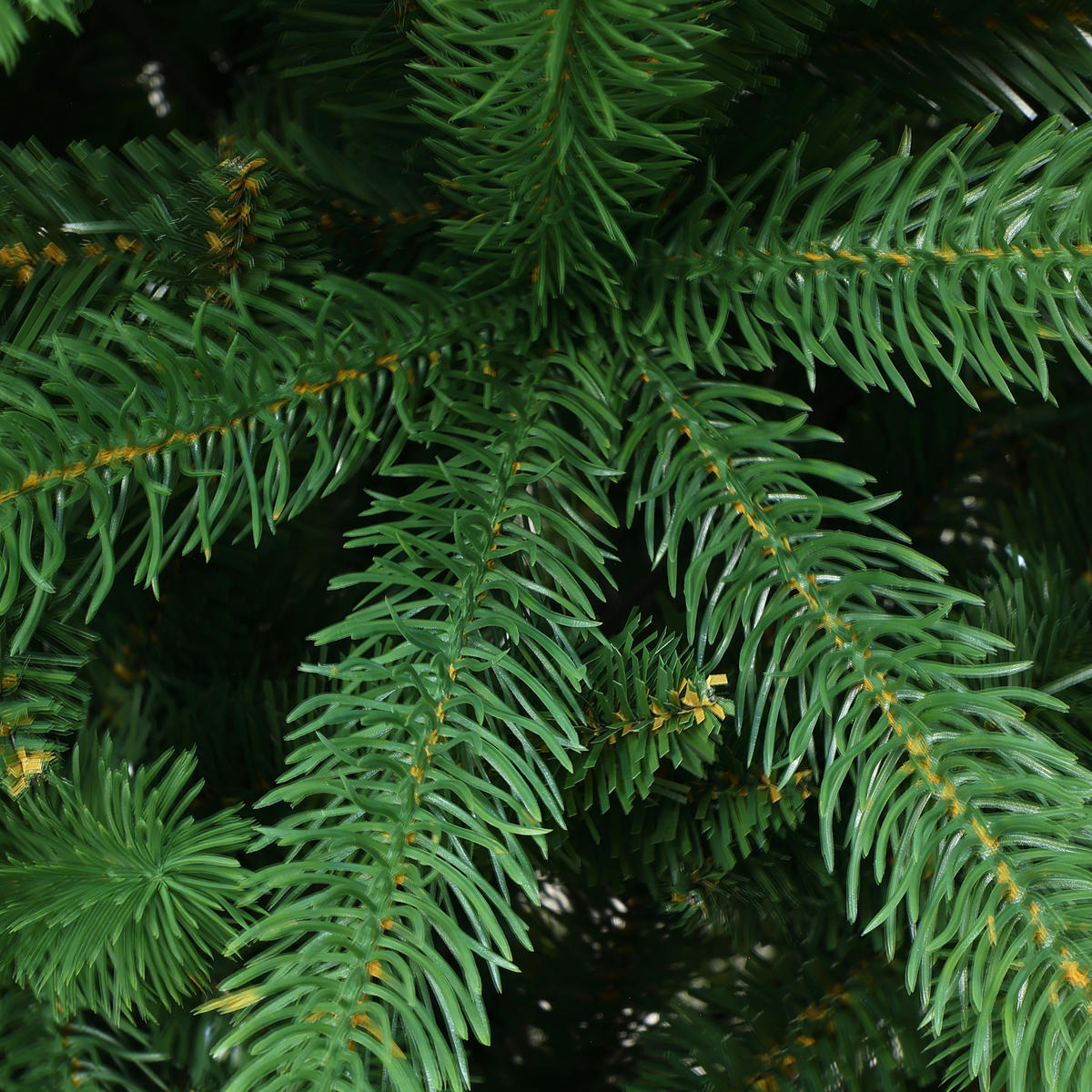 WEIHNACHTSBAUM 185 cm in Fraser-Tannen-Optik mit Metallständer - Grün, Kunststoff (185cm) - Hometopia