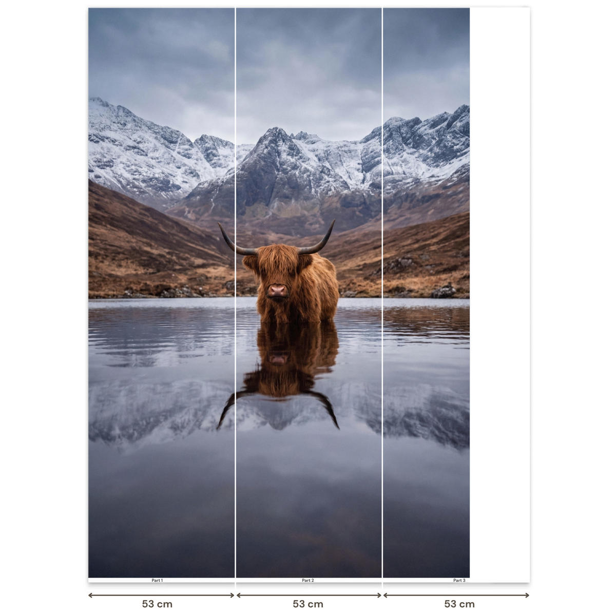 TAPETE - Schottischer Hochländer - Braun - Wasser - 140x200 cm - Braun, Papier (140/200cm) - OnlyWow
