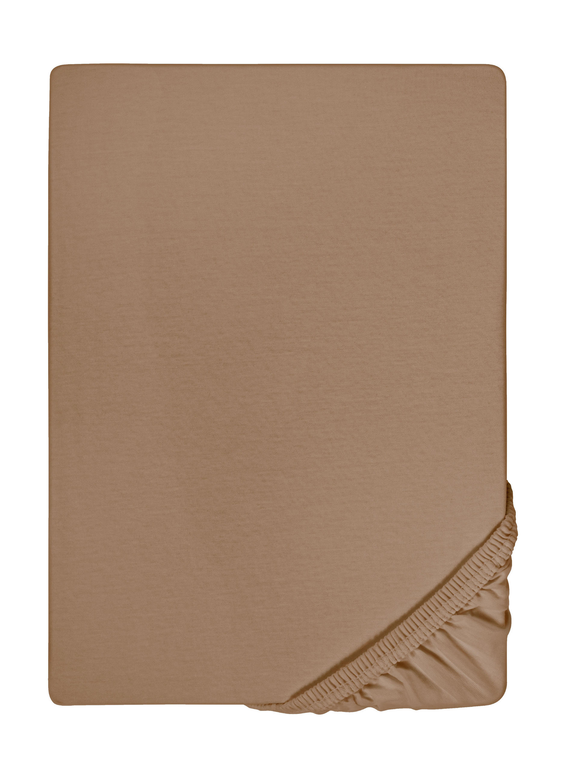 biberna Spannbetttuch Cappuccino 100x200 cm