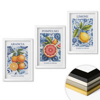 WANDBILDER 3er-Set - 20x30 cm Weißer Rahmen - Vintage-Illustrationen von Zitrusfrüchten - Weiß, Kunststoff (20/30cm) - ArtPrintCave