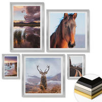 WANDBILDER 5er Set - 50x50 cm & 20x30 cm & 40x60 cm Silberner Rahmen - Berglandschaften, Rentiere, Pferdestraße - Silberfarben, Kunststoff (40/60cm) - ArtPrintCave