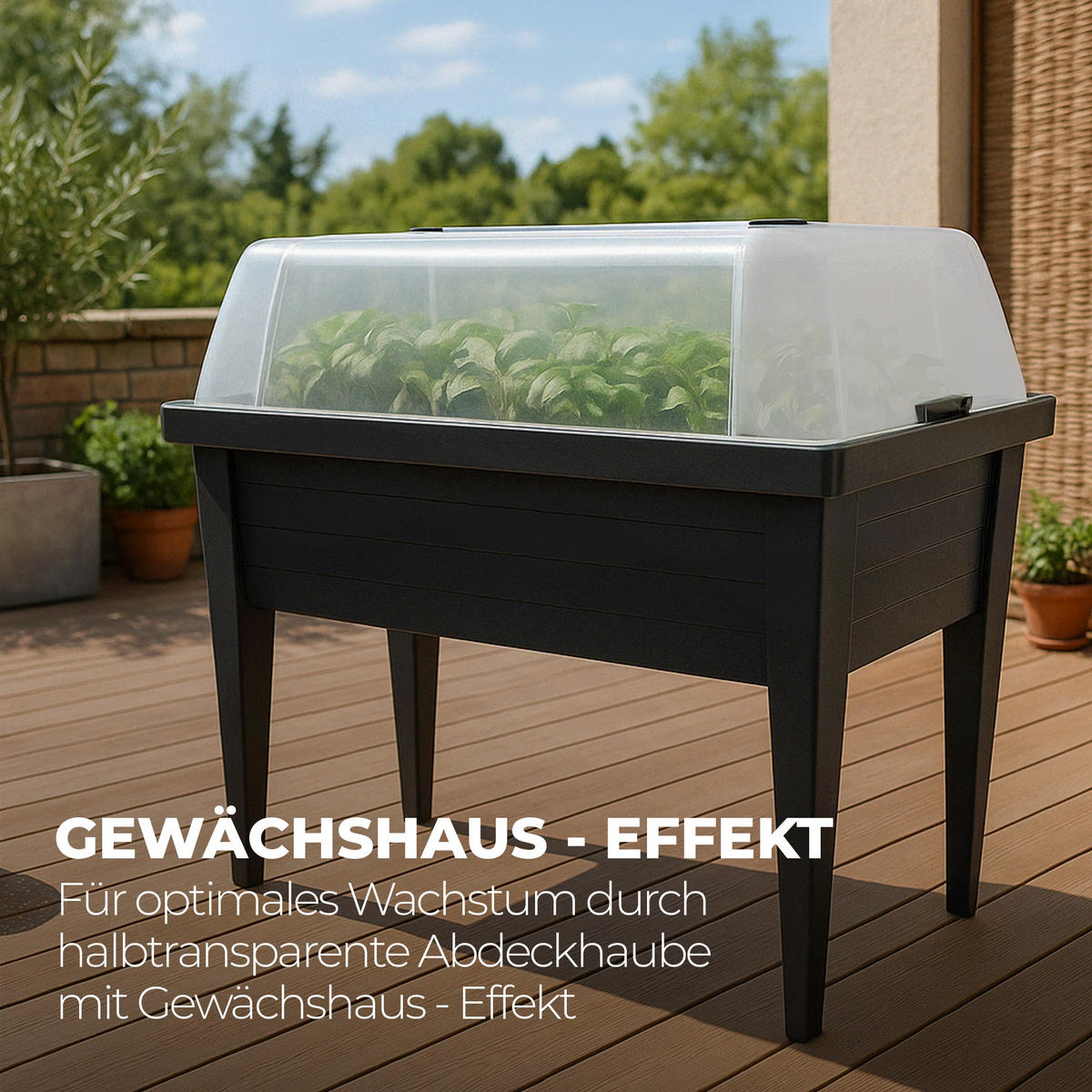 HOCHBEET Kräuterbeet mit Haube 100x50x107cm - Anthrazit, Kunststoff (50/107/100cm) - Bestlivings