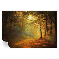 FOTOTAPETE 104x70 cm - Herbstlandschaft - Gelb, Textil (104/70cm) - Wallfluent
