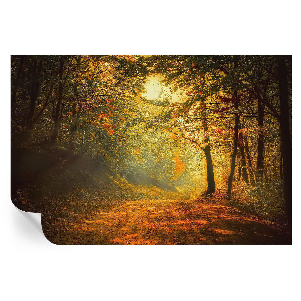 FOTOTAPETE 104x70 cm - Herbstlandschaft - Gelb, Textil (104/70cm) - Wallfluent
