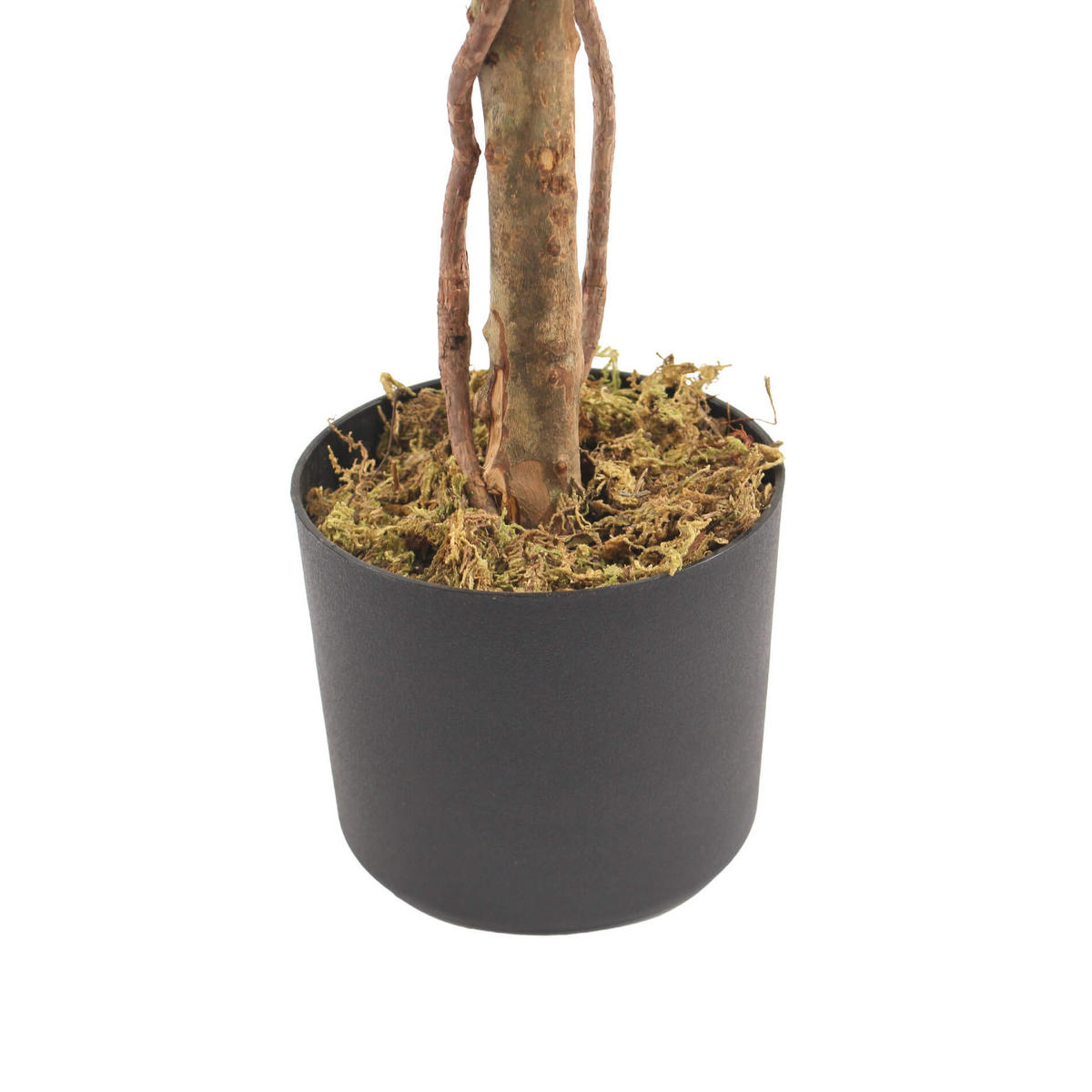 KÜNSTLICHE Buchsbaum 33/33/60 - Grün, Kunststoff (63cm) - Mobili Rebecca