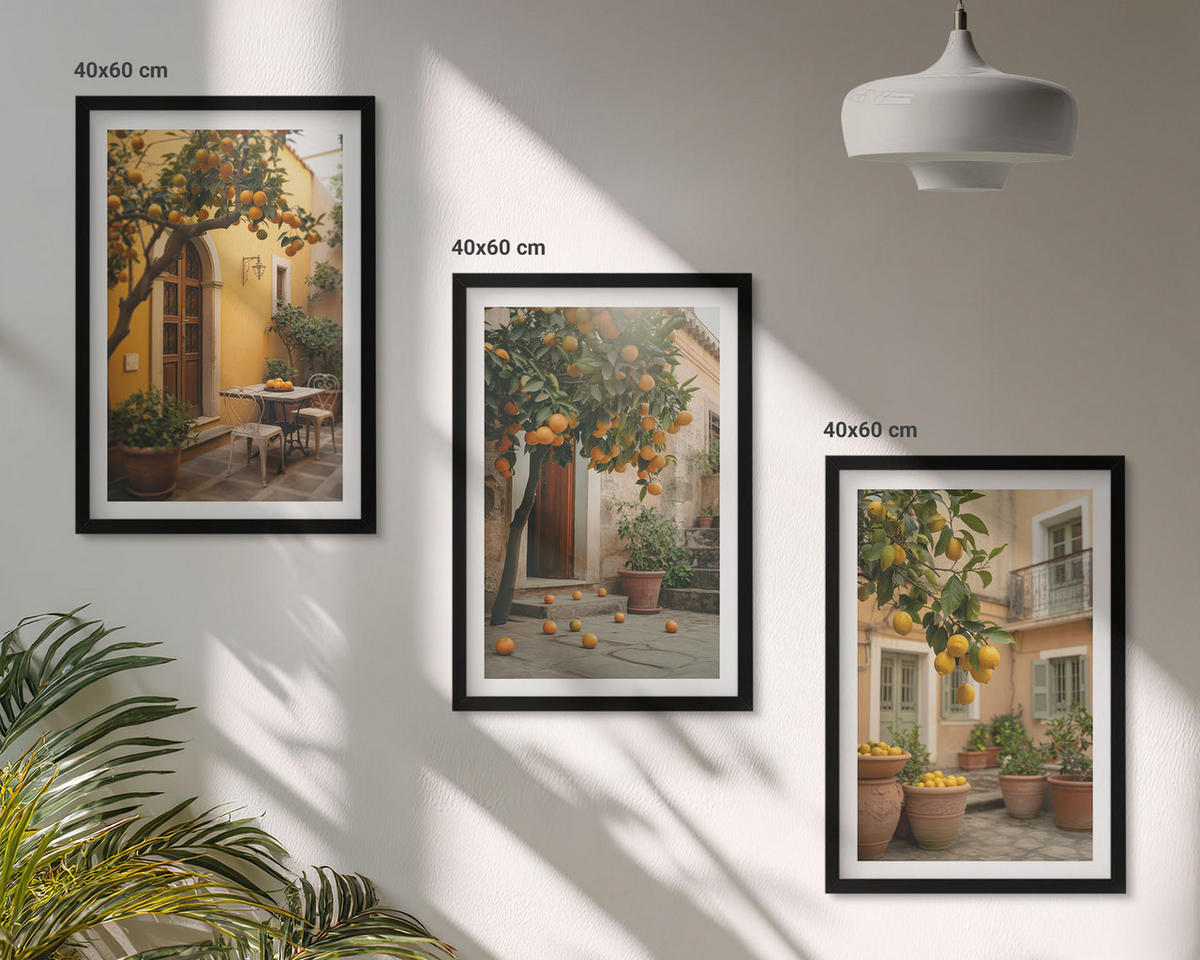 BILDER SET 3er Set - 40x60 cm Schwarzer Rahmen - Garten-Zitrus-Sonne - Schwarz, Kunststoff (40/60cm) - TULUP