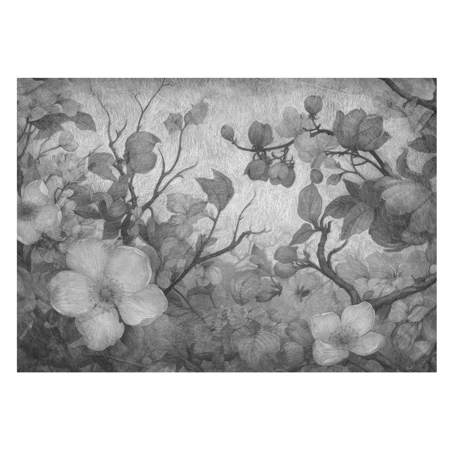 FOTOTAPETE 208x146 cm - Blütenzweig - Schwarz, Textil (208/146cm) - Wallfluent