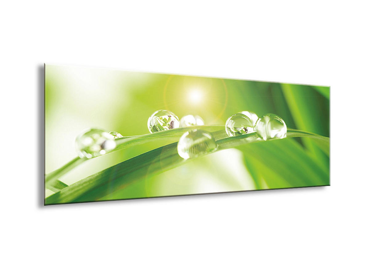 GLASBILD 80x30 cm Blatt Wassertropfen Grün - Grün, Glas (80/30cm) - artissimo