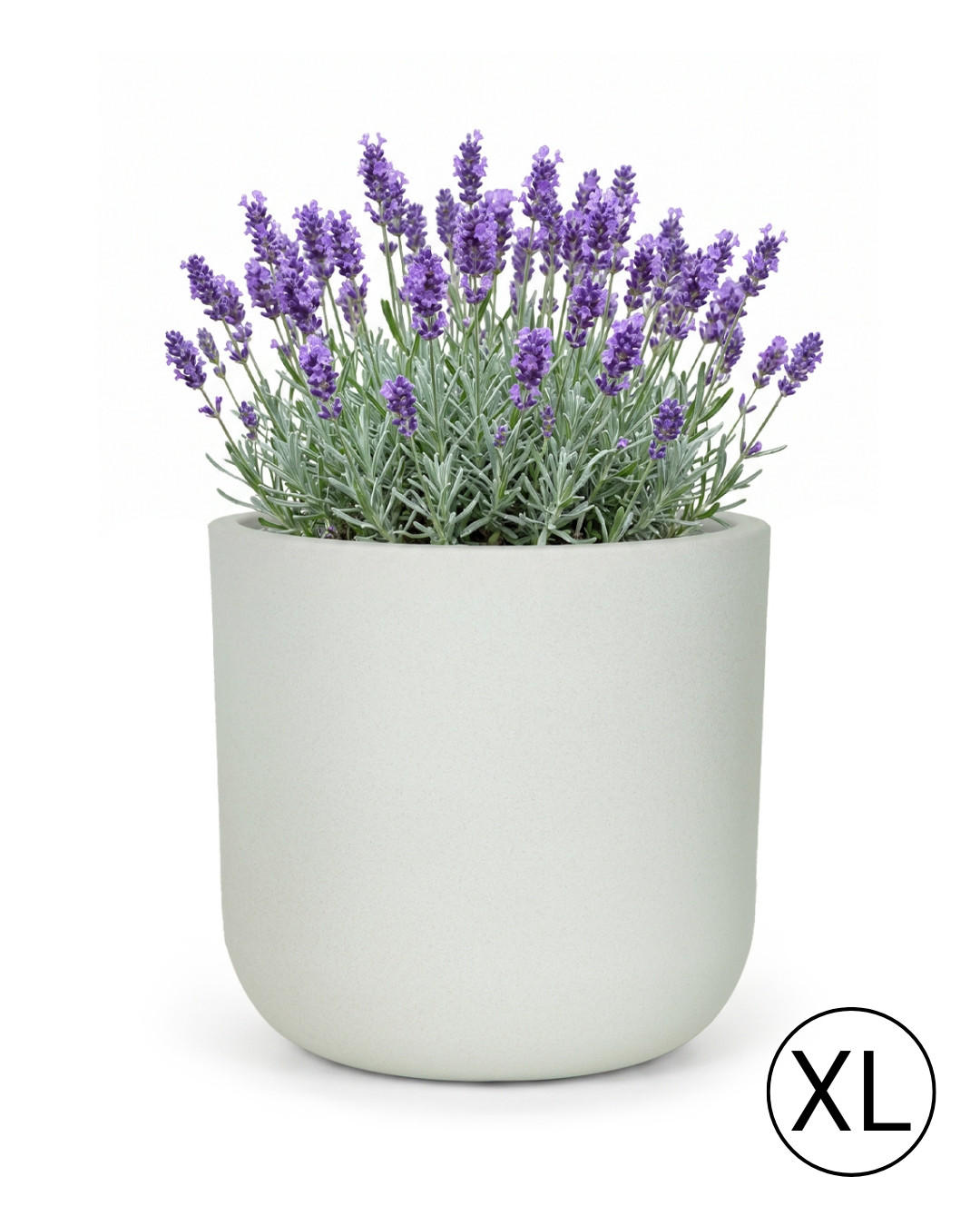 Mazovia KVĚTINÁČ bílý Ecru ELEGANTE XL 56x56x54 cm