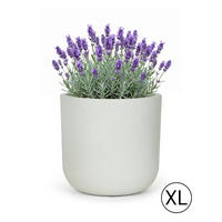 BLUMENTOPF Weiß Ecru ELEGANTE XL 56x56x54 cm - Hellgrau, Kunststoff (54cm) - Mazovia
