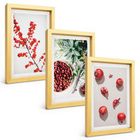 BILDER SET 3er Set - 20x30 cm Goldrahmen - Minimalismus der roten Früchte von Pflanzen - Goldfarben, Kunststoff (20/30cm) - TULUP