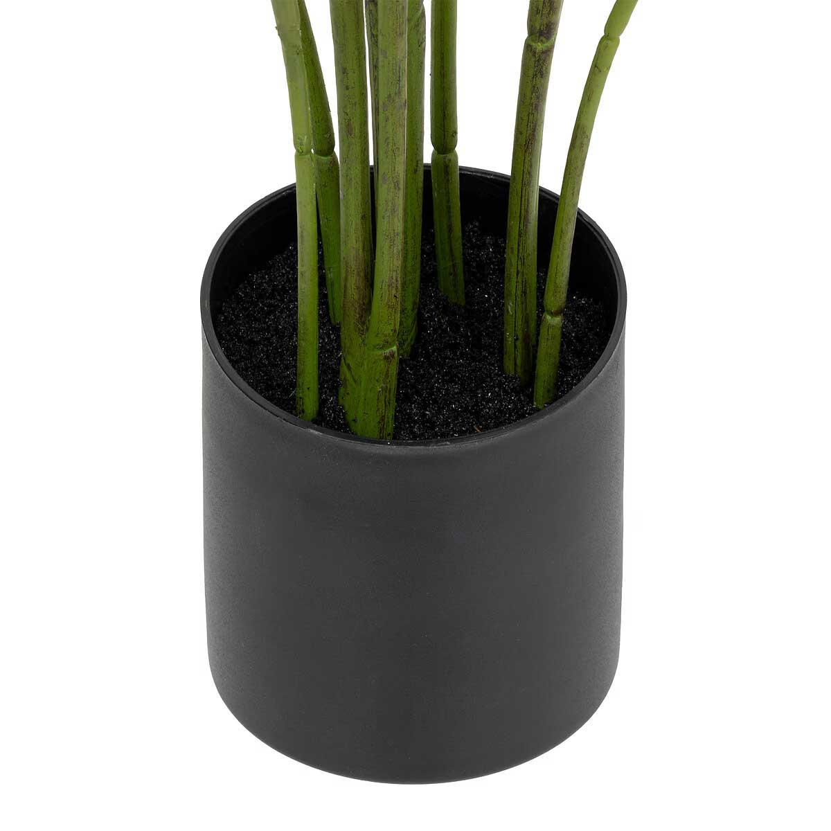 DEKOPFLANZE Strelitzia 97 cm - Grün, Kunststoff (97cm) - Atmosphera Createur d´interieur