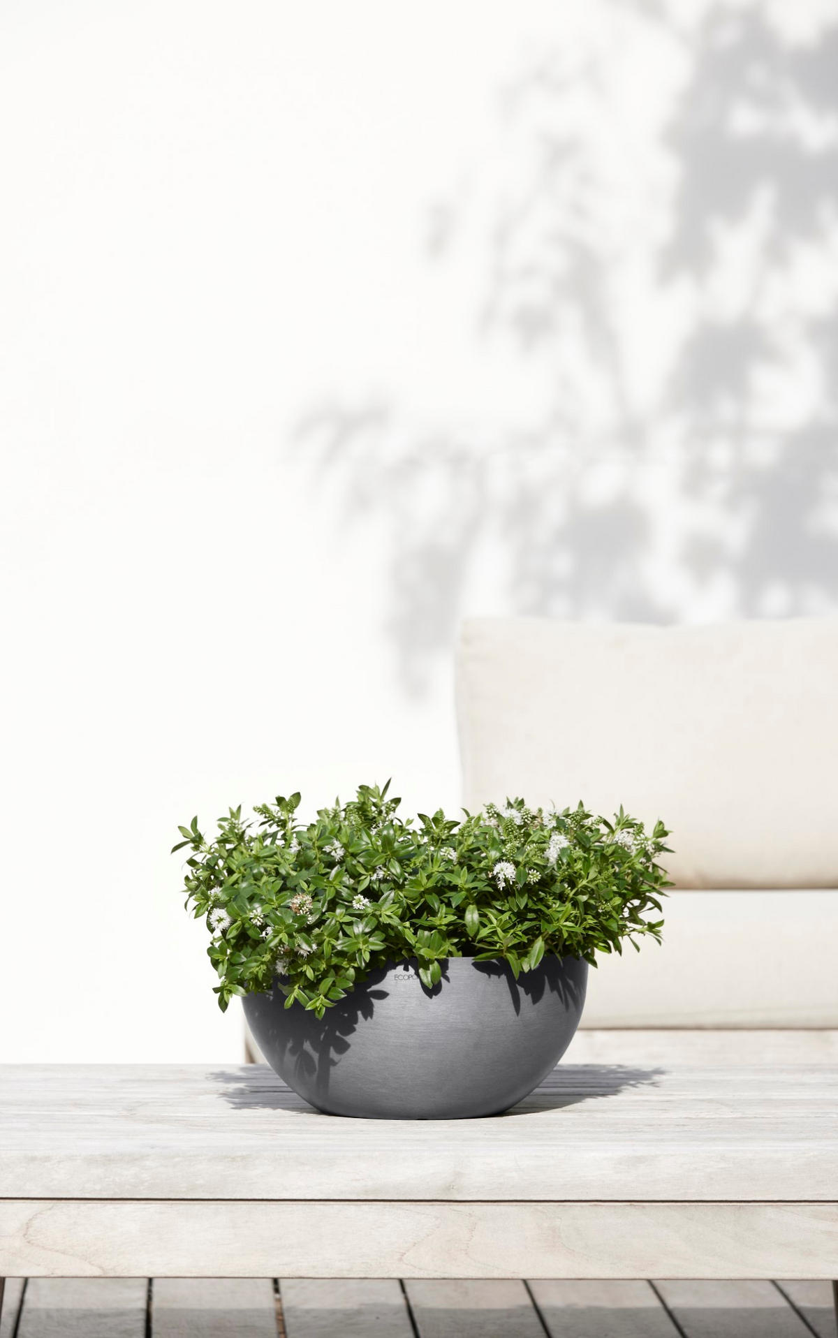 BLUMENTOPF Brussels 30/14,8 cm Grau - Grau, Kunststoff (30/14.8cm) - Ecopots