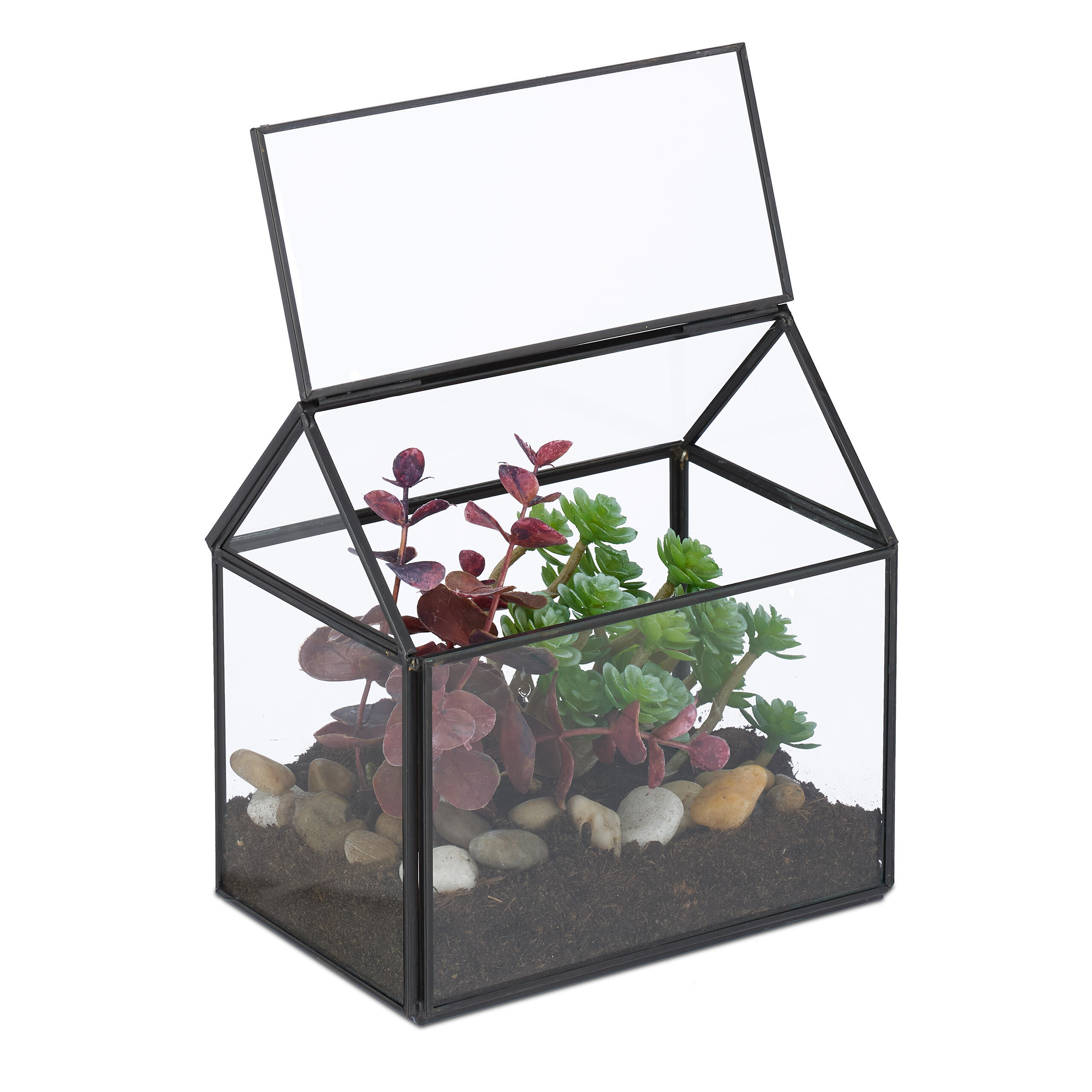 PFLANZENTERRARIUM - Transparent, Glas/Metall (15/15/10cm) - Relaxdays
