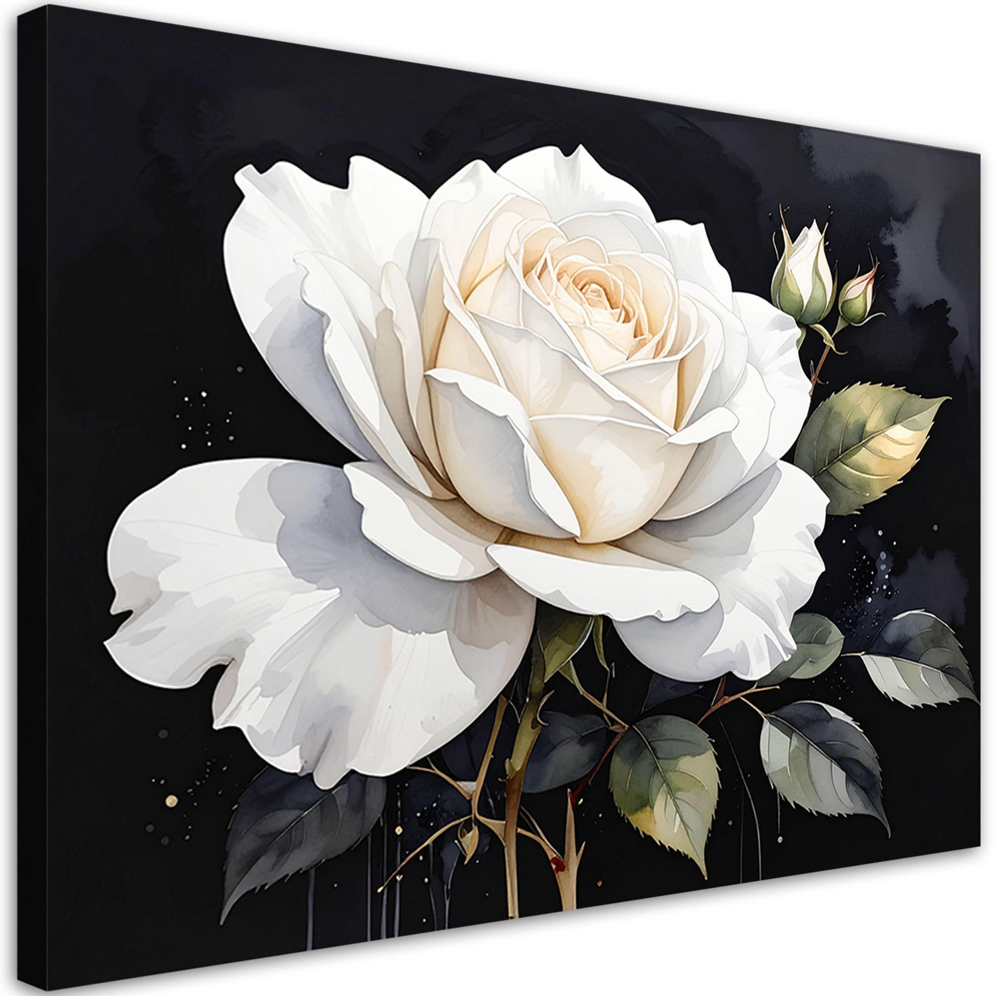LEINWANDBILD, Weiße Rosenblüte auf schwarzem Hintergrund - Weiß, Textil (120/80cm) - Feeby