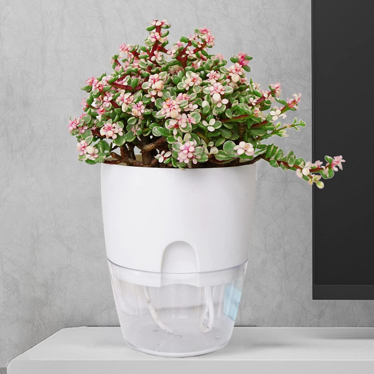 KRÄUTERTOPF 3er-Set selbstbewässernd weiß - Weiß, Kunststoff (15/18/15cm)