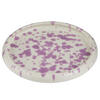 APPETIZERTELLER Boogy Splash - Flieder, Keramik (12/12/2cm) - Butlers
