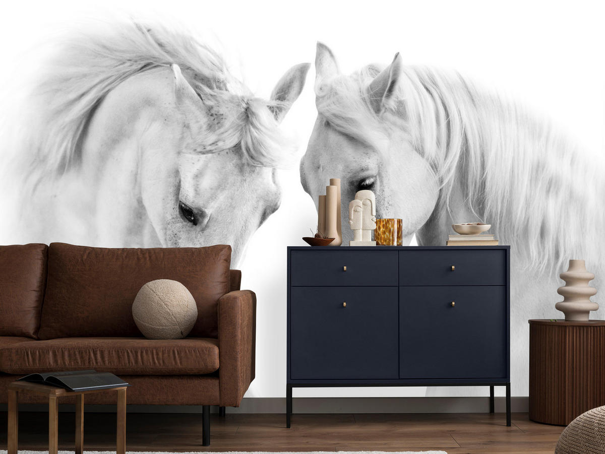 FOTOTAPETE für Schlafzimmer Weiße Pferde Grauer Hintergrund Eleganz Tierwelt 450x315 - Weiß/Grau, Papier (450/315cm) - Muralo